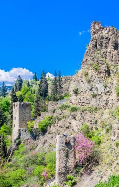 Narikala 'nın antik kalesi. Ulusal Botanik Bahçesi 'nin yanından bak. Georgia mı? Tiflis.