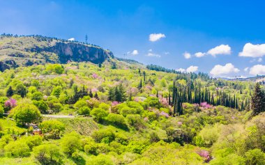  Narikala kalesi Georgi 'nin Tiflis botanik bahçesi manzarası.