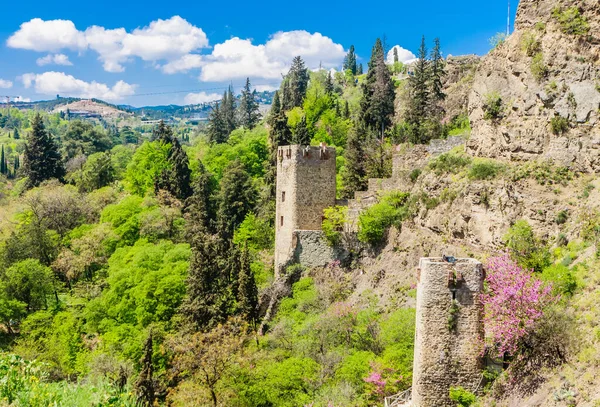 Narikala Ősi Erődje Kilátás Nemzeti Botanikus Kert Oldaláról Georgia Vagyok — Stock Fotó