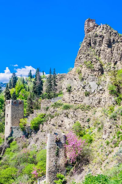 Ancient Fortress Narikala View Side National Botanical Garden Georgia Tbilisi — Stock Photo, Image