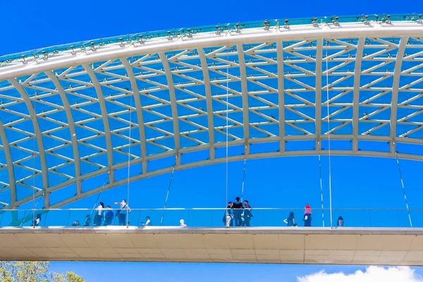 Tbilisi Georgia Bridge Peace Kura River — Stock Photo, Image