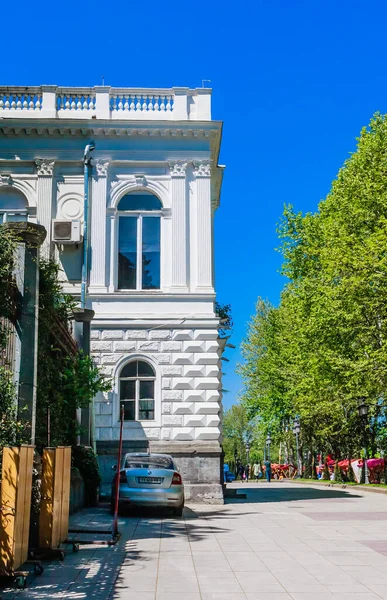 Palacio Vorontsov También Conocido Como Palacio Los Niños Tiflis Georgia —  Fotos de Stock