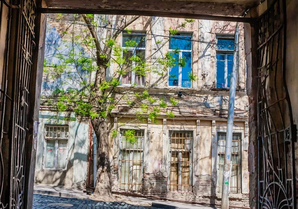 Drzewa Starego Miasta Tbilisi Niektóre Budynki Wyglądają Biedne Gruzja — Zdjęcie stockowe