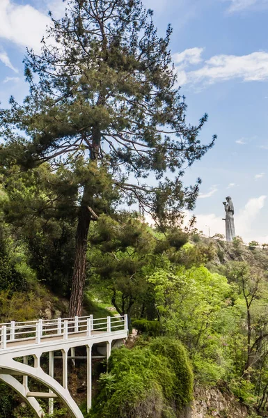 Tbilisi Národní Botanická Zahrada Gruzii Památníkem Kartlis Deda Pozadí — Stock fotografie