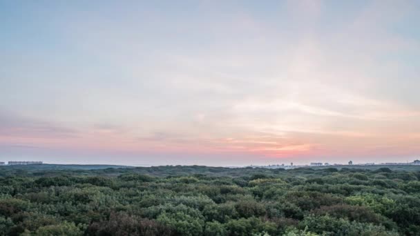 Salida del sol de verano desde las alturas sobre el bosque. Stavropol. Rusia — Vídeos de Stock