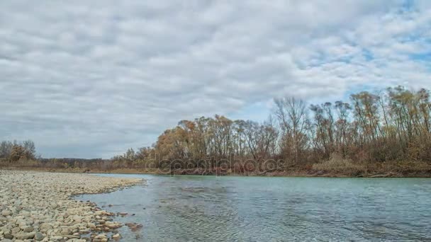 Прекрасная осенняя река. Река Кубань. Россия — стоковое видео