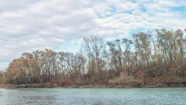 Mooie herfst rivier. Rivier de Koeban op. Rusland — Stockvideo