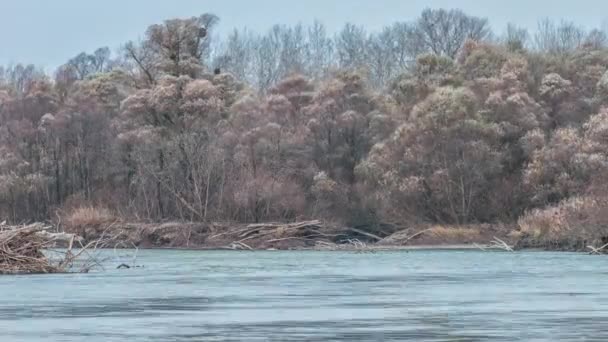 Beautiful autumn river. Kuban River. Russia — Stock Video