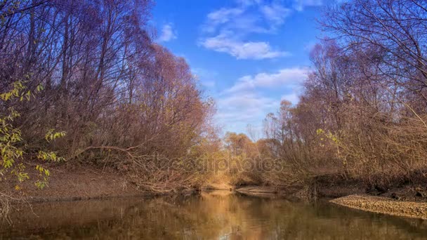 Piękny zachód słońca nad rzeką. Kubań River. Rosja — Wideo stockowe