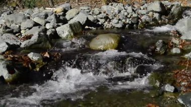 Su ripples. Su yüzeyine
