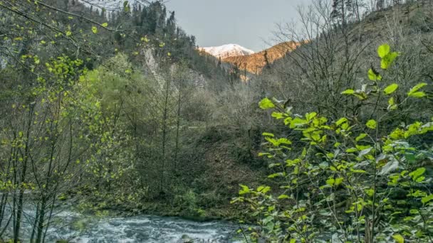 Abjasia Montañas del Cáucaso — Vídeos de Stock