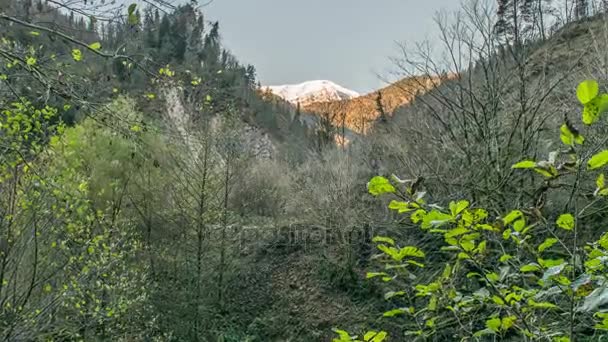 Góry Kaukazu Abchazję — Wideo stockowe
