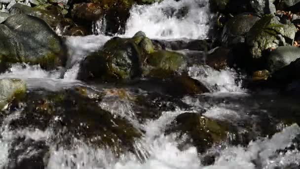 Arroyos de montaña. Ondulaciones de agua. Superficie del agua . — Vídeo de stock