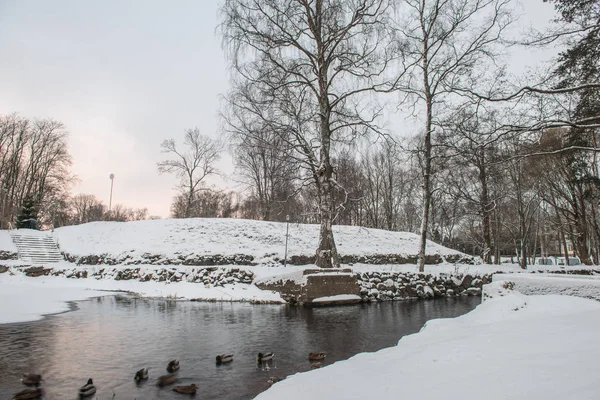 Paisaje, mañana de invierno en Priozersk, Rusia — Foto de Stock