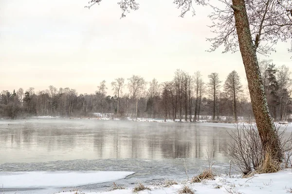 A táj, a téli reggel Priozersk, Oroszország — Stock Fotó