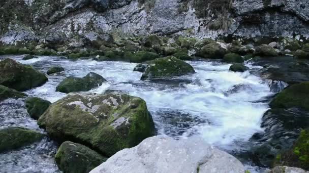 Arroyos de montaña. Ondulaciones de agua. Superficie del agua . — Vídeos de Stock