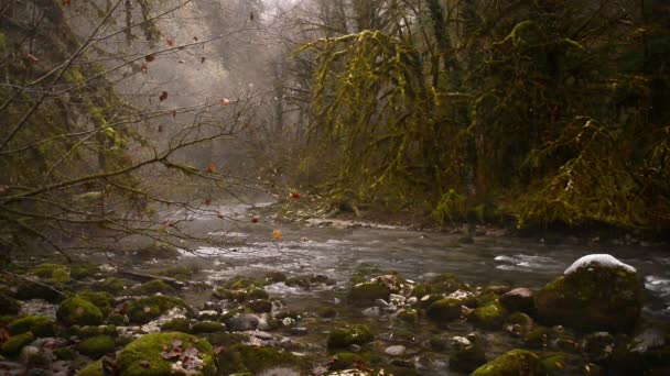 Arroyos de montaña. Ondulaciones de agua. Superficie del agua . — Vídeo de stock