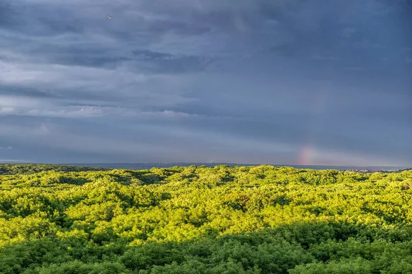 Sunset from the heights above the forest. Stavropol. Russia — Stock Photo, Image