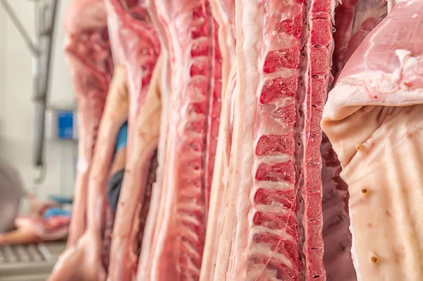 Fresh meat in a cold cut factory — Stock Photo, Image