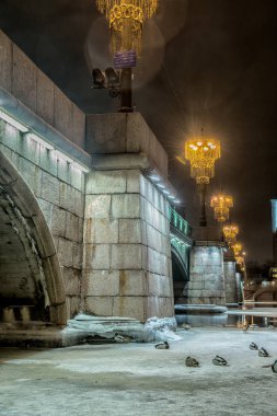 Saint Petersburg, Rusya 'da Neva Nehri' nin güzel manzarası