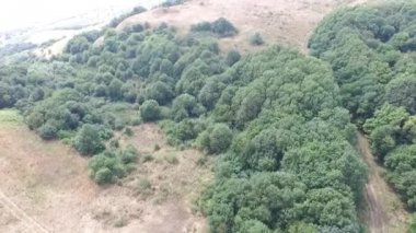 Havadan görünümü. Güzel dağ ve güzel orman üzerinde uçan. Hava kamera çekim. Rusya, Stavropol, dağ Strizhament.