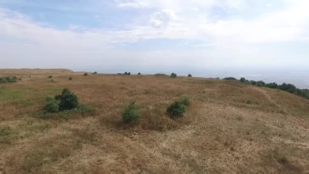 Luchtfoto beelden van gras landschap werkte door boer gemaaid en geoogst alle het gras gebruikt het en drogen voor gebruik wintertijd. Rusland, Stavropol. — Stockvideo