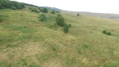 Havadan görünümü. Güzel dağ ve güzel orman üzerinde uçan. Hava kamera çekim. Rusya, Stavropol, dağ Strizhament.