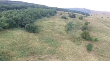 Havadan görünümü. Güzel dağ ve güzel orman üzerinde uçan. Hava kamera çekim. Rusya, Stavropol, dağ Strizhament.