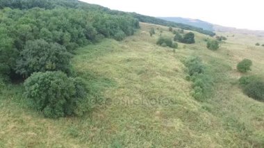Havadan görünümü. Güzel dağ ve güzel orman üzerinde uçan. Hava kamera çekim. Rusya, Stavropol, dağ Strizhament.