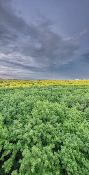 Zonsondergang vanaf de hoogte boven het bos. Stavropol. Rusland — Stockfoto