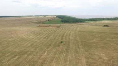 Saman balya kırsal alanda tarım alanında hava görünümünü. Rusya, Stavropol.
