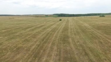 Saman balya kırsal alanda tarım alanında hava görünümünü. Rusya, Stavropol.