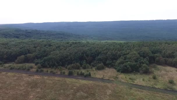 Вид с воздуха. Полет над зелеными травяными скалистыми холмами. Россия, Ставрополь, гора Стрижамент . — стоковое видео