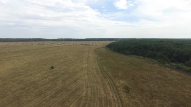 Flygfoto över höbalar i jordbruk fält i landsbygden. Ryssland, Stavropol. — Stockvideo