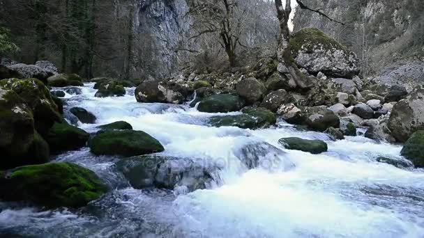 Dağ akarsuları. Su ripples. Su yüzeyine. — Stok video