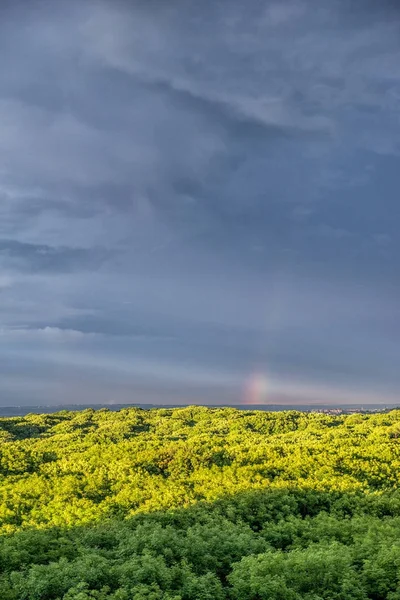 Západ slunce z výšin nad lesem. Stavropol. Rusko — Stock fotografie