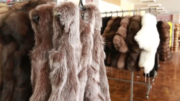 Luxe kleding en bont in een mode winkel. — Stockvideo