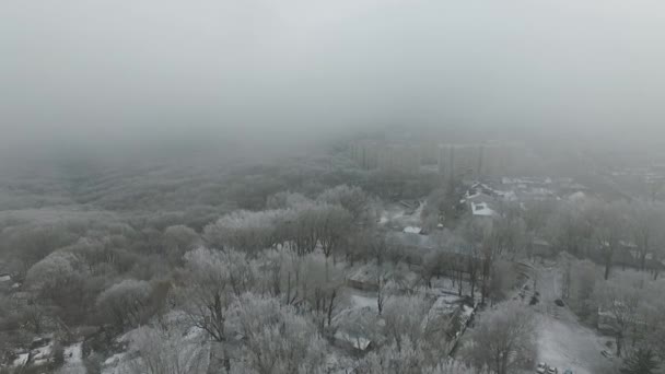 Смог в городе зимой — стоковое видео