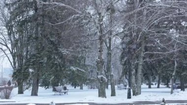 Karla kaplı ağaçlarla kaplı güzel kış manzarası