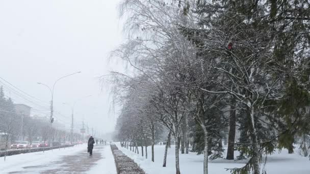 Stavropol, Rusia - febrero 2018: Stavropol calles centrales en invierno . — Vídeo de stock