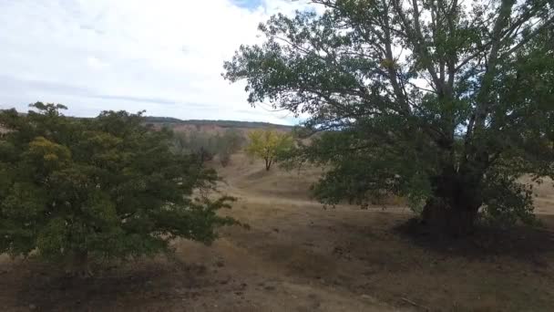 Região de Stavropol. A Rússia. Paisagem de outono com colinas caucasianas . — Vídeo de Stock