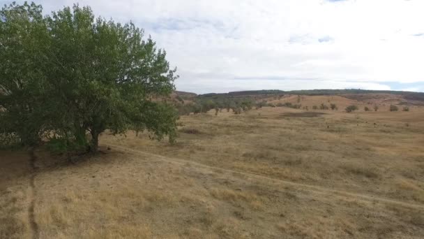 Stavropol bölge. Rusya. Beyaz tepeler, sonbahar yatay. — Stok video