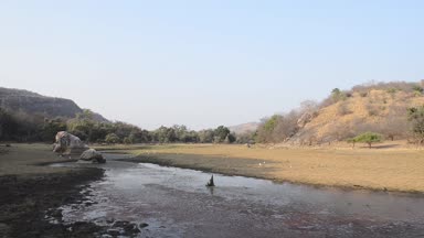 Ranthambore Milli Parkı, Hindistan'da güzel göl