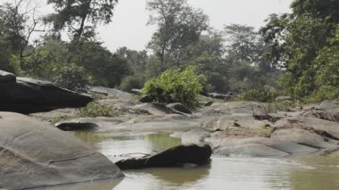 güzel nehir Milli Parkı, Hindistan