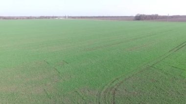 Bir yeşil tarım alanı