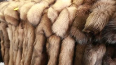Lüks giysiler ve kürk bir perakende moda mağazası.