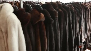 Lüks giysiler ve kürk bir perakende moda mağazası.