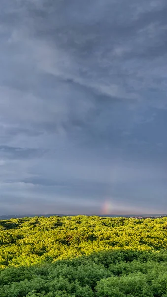 Zonsondergang vanaf de hoogte boven het bos. Stavropol. Rusland — Stockfoto