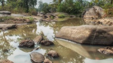 Nehir ve orman ağaçlarıyla manzara, Kanha Ulusal Parkı, Hindistan