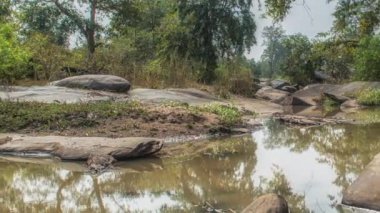 Nehir ve orman ağaçlarıyla manzara, Kanha Ulusal Parkı, Hindistan